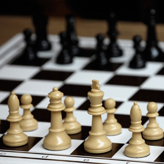 Schach Anfänger