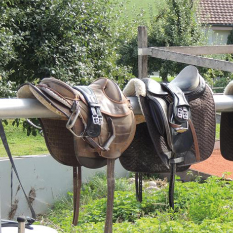Reiten in Kappel