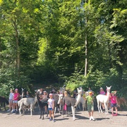 Lama &amp; Alpaka Trekking