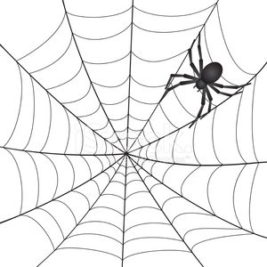 Spinnen - auf acht Beinen durchs Naturmuseum