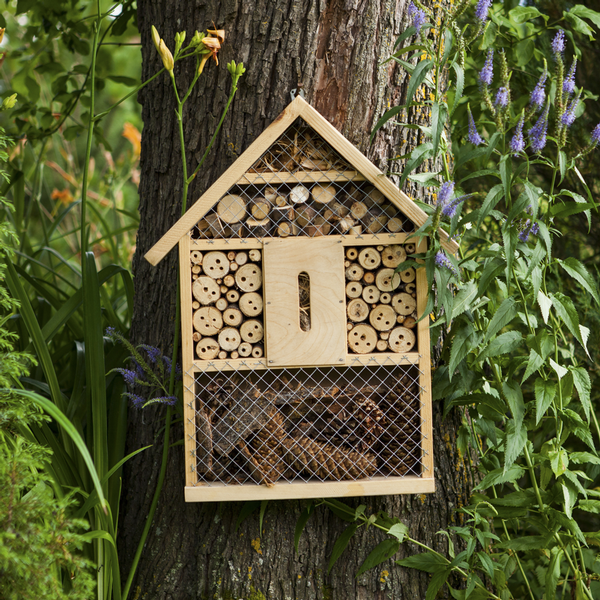 Insektenhotel bauen und Natur entdecken