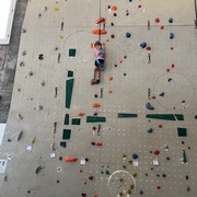 Momentum