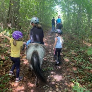 Pony reiten